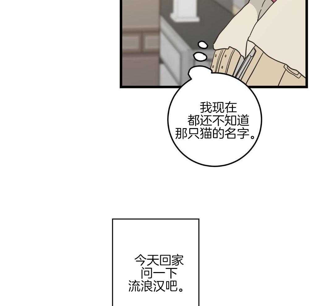 《我唯一的猫猫》漫画最新章节第44话免费下拉式在线观看章节第【27】张图片