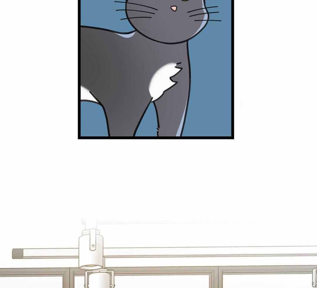 《我唯一的猫猫》漫画最新章节第58话免费下拉式在线观看章节第【6】张图片