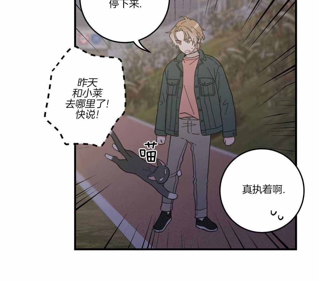 《我唯一的猫猫》漫画最新章节第55话免费下拉式在线观看章节第【6】张图片