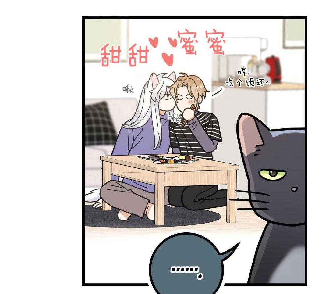 《我唯一的猫猫》漫画最新章节第56话免费下拉式在线观看章节第【42】张图片