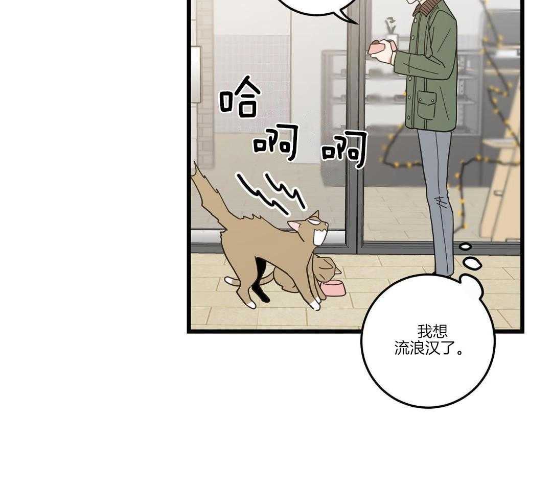 《我唯一的猫猫》漫画最新章节第33话免费下拉式在线观看章节第【17】张图片