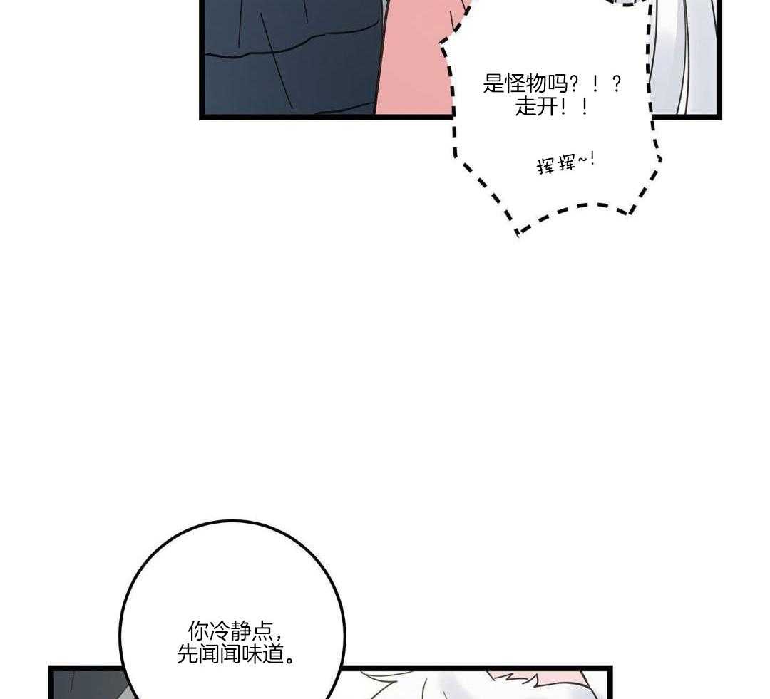 《我唯一的猫猫》漫画最新章节第39话免费下拉式在线观看章节第【31】张图片