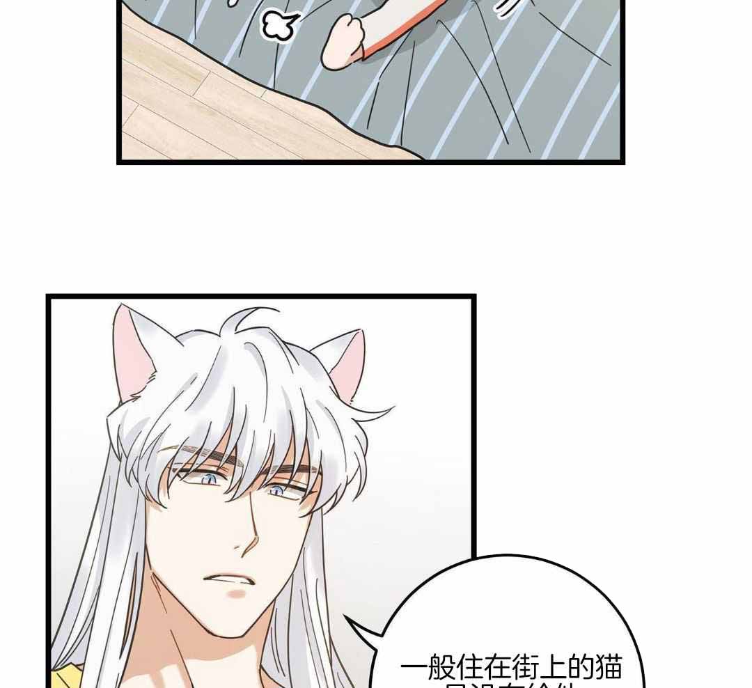 《我唯一的猫猫》漫画最新章节第45话免费下拉式在线观看章节第【21】张图片