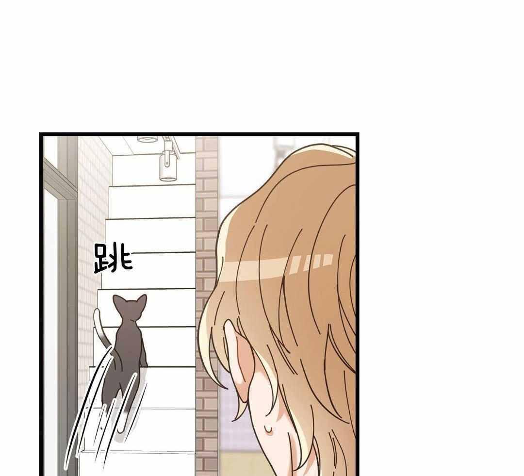 《我唯一的猫猫》漫画最新章节第58话免费下拉式在线观看章节第【9】张图片