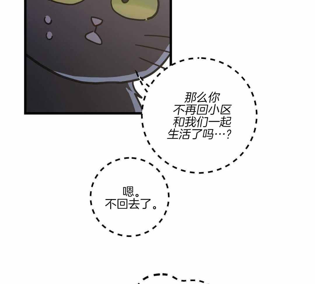 《我唯一的猫猫》漫画最新章节第42话免费下拉式在线观看章节第【23】张图片