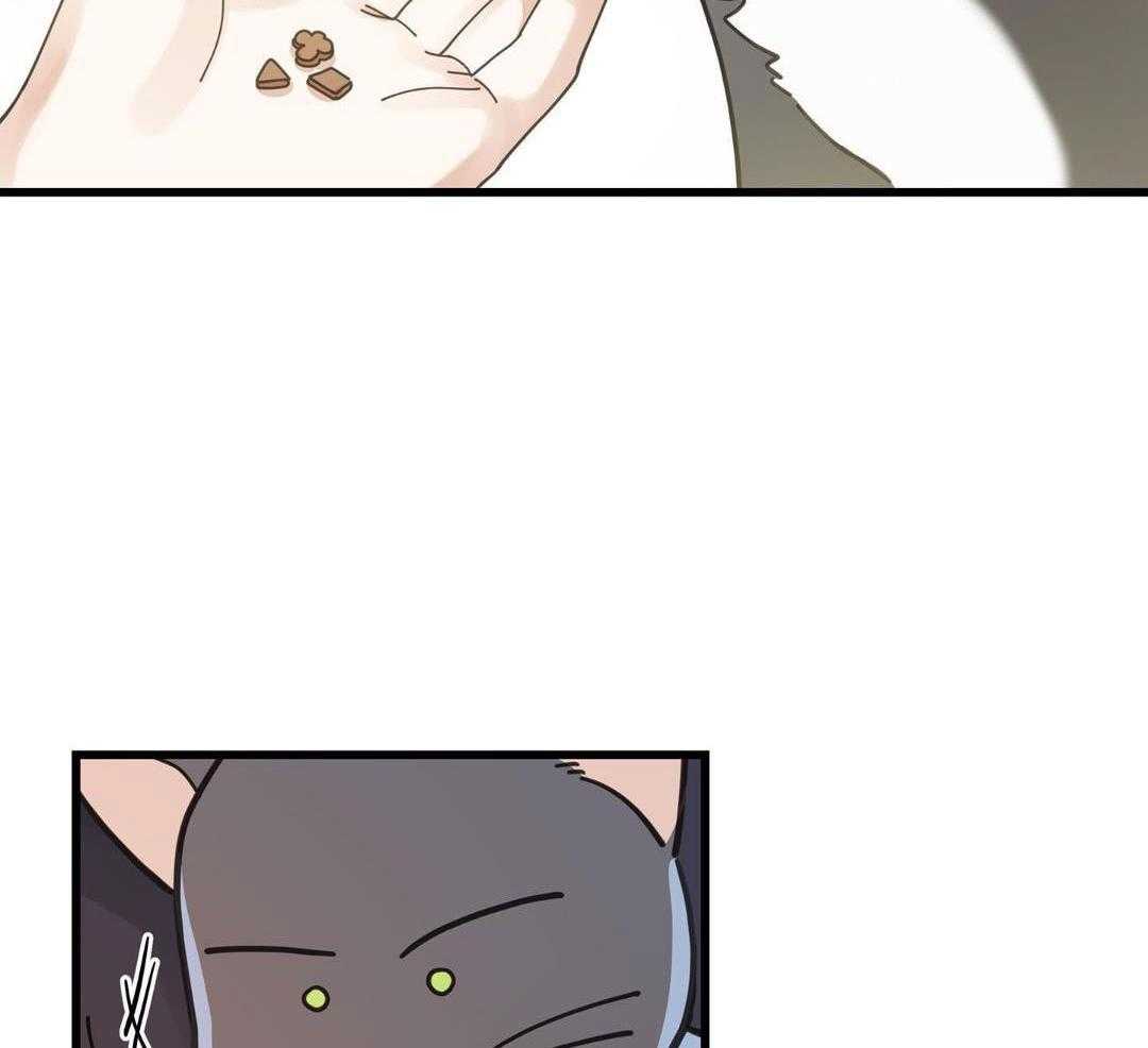 《我唯一的猫猫》漫画最新章节第57话免费下拉式在线观看章节第【35】张图片