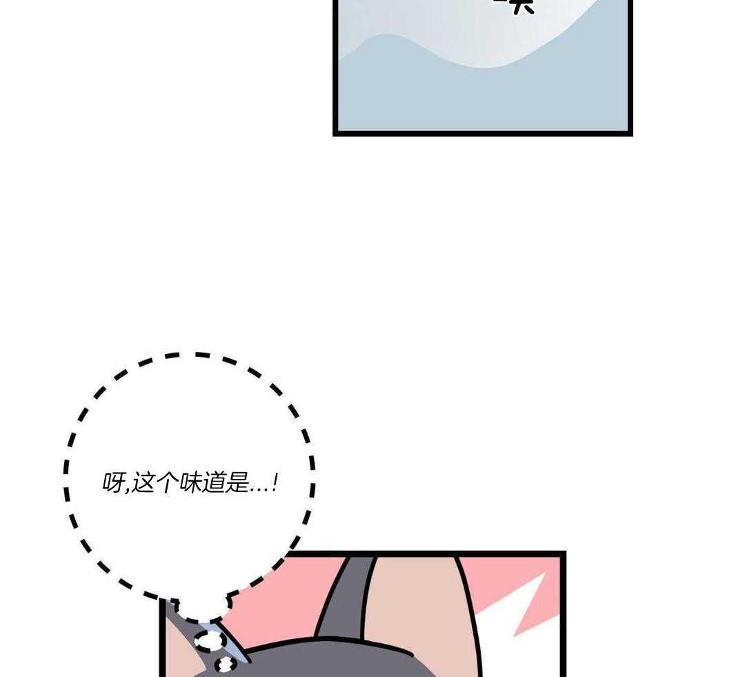 《我唯一的猫猫》漫画最新章节第58话免费下拉式在线观看章节第【16】张图片