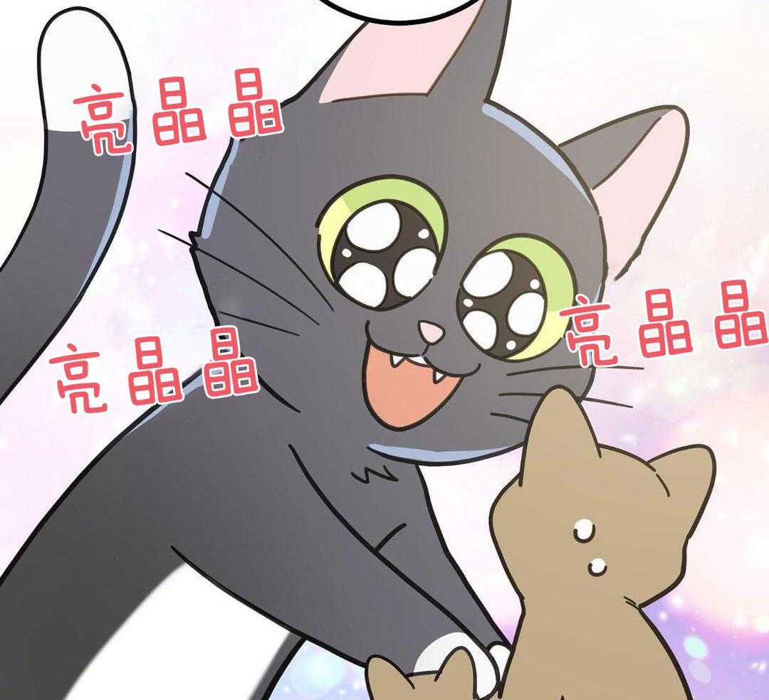 《我唯一的猫猫》漫画最新章节第33话免费下拉式在线观看章节第【42】张图片