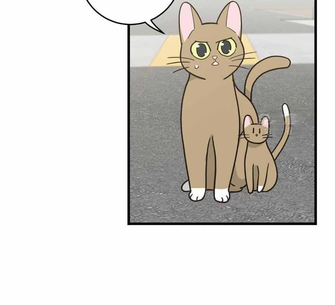 《我唯一的猫猫》漫画最新章节第33话免费下拉式在线观看章节第【37】张图片