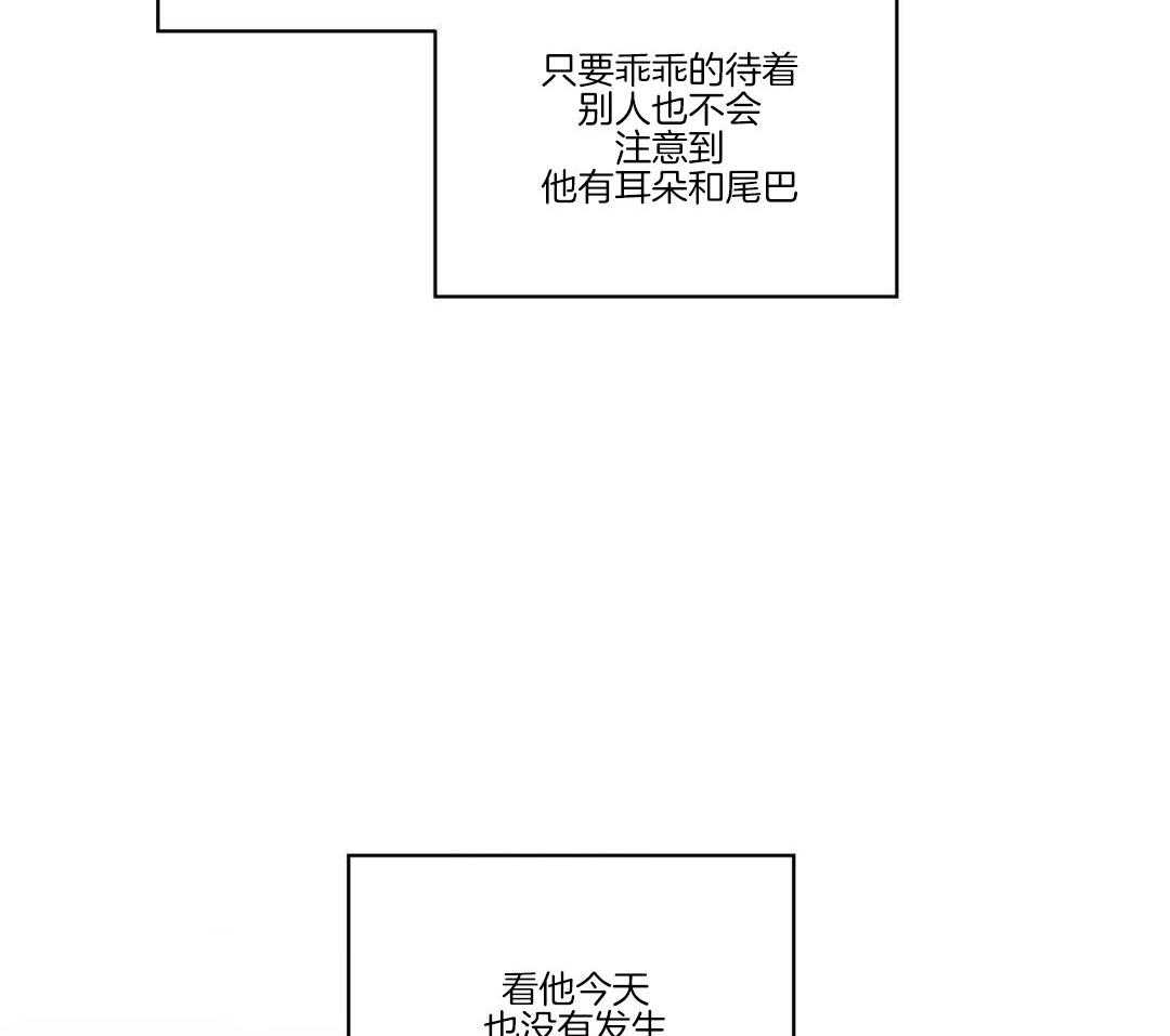 《我唯一的猫猫》漫画最新章节第55话免费下拉式在线观看章节第【32】张图片