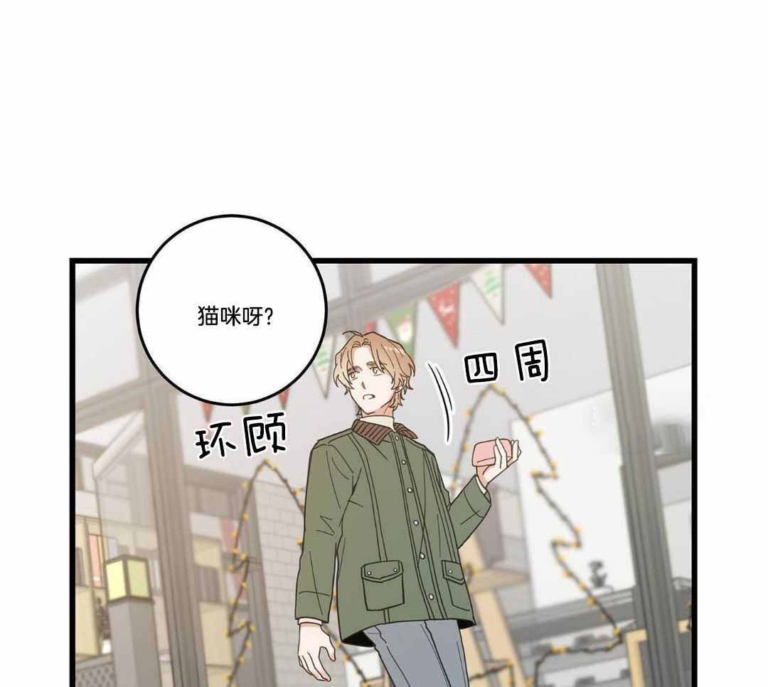 《我唯一的猫猫》漫画最新章节第33话免费下拉式在线观看章节第【10】张图片