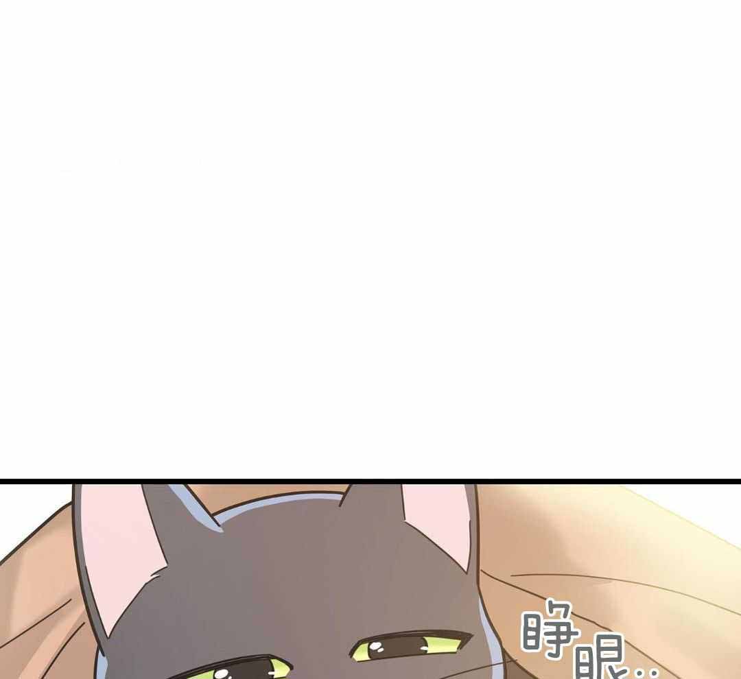 《我唯一的猫猫》漫画最新章节第43话免费下拉式在线观看章节第【1】张图片