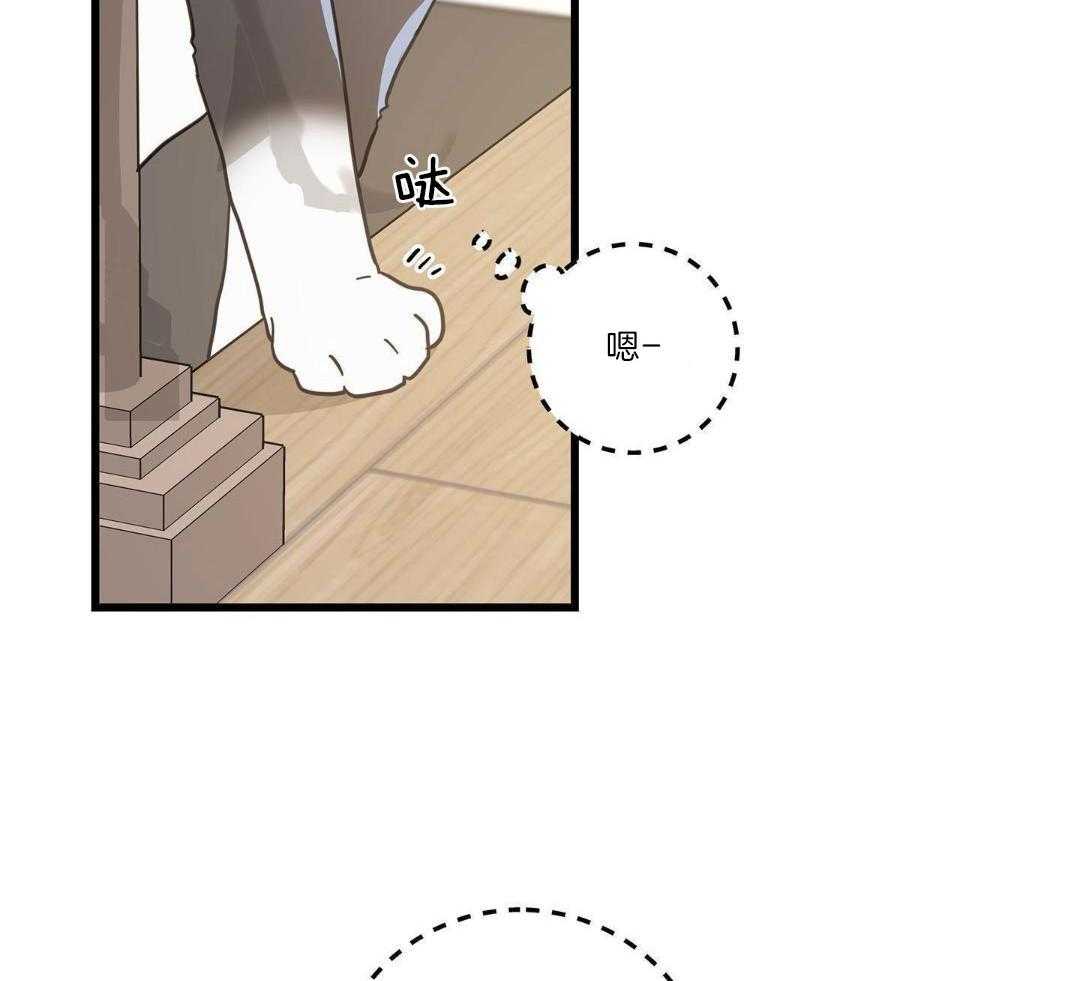 《我唯一的猫猫》漫画最新章节第58话免费下拉式在线观看章节第【13】张图片