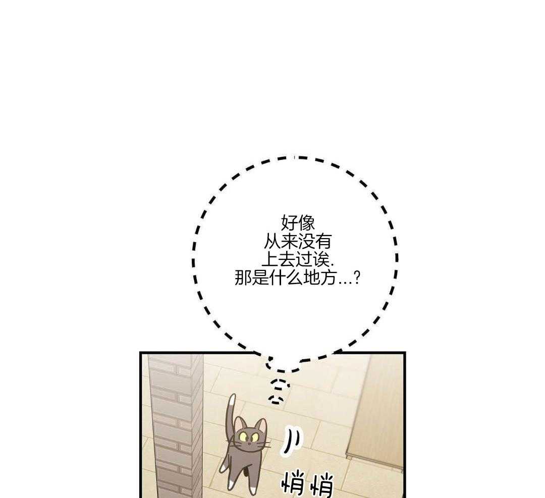 《我唯一的猫猫》漫画最新章节第47话免费下拉式在线观看章节第【34】张图片