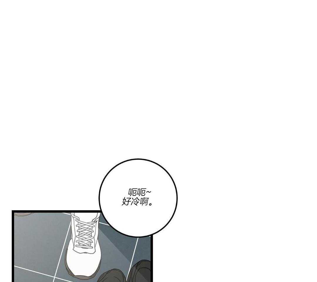 《我唯一的猫猫》漫画最新章节第36话免费下拉式在线观看章节第【2】张图片