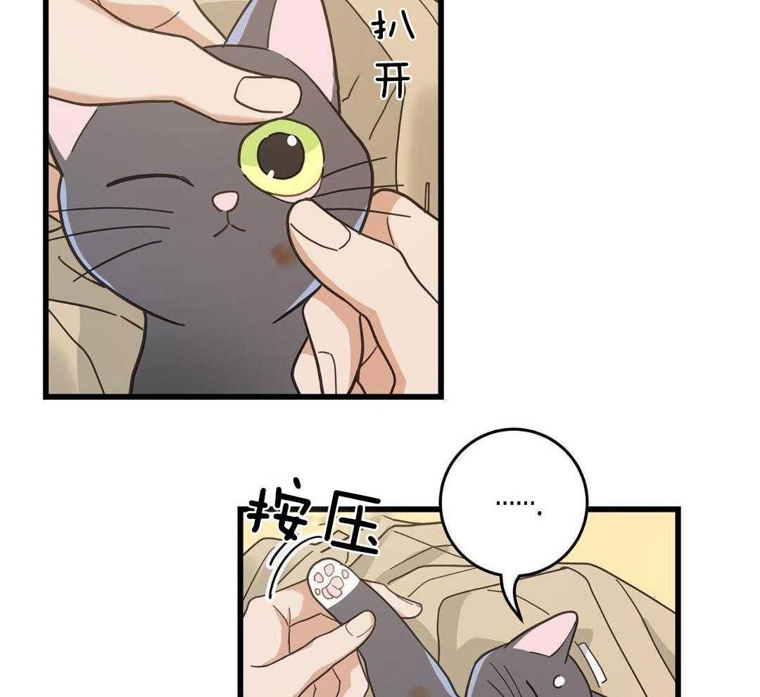 《我唯一的猫猫》漫画最新章节第34话免费下拉式在线观看章节第【43】张图片