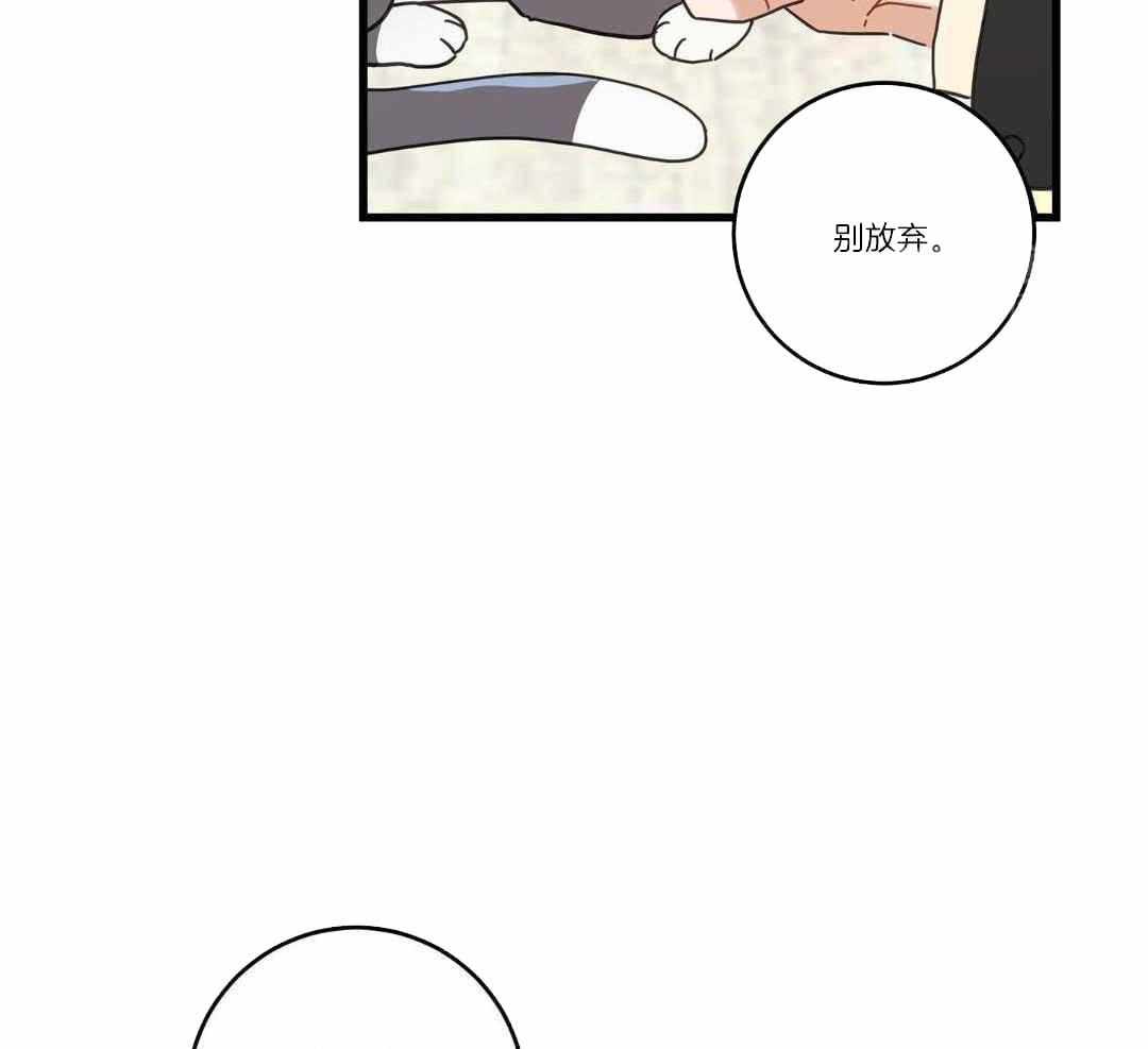 《我唯一的猫猫》漫画最新章节第37话免费下拉式在线观看章节第【41】张图片