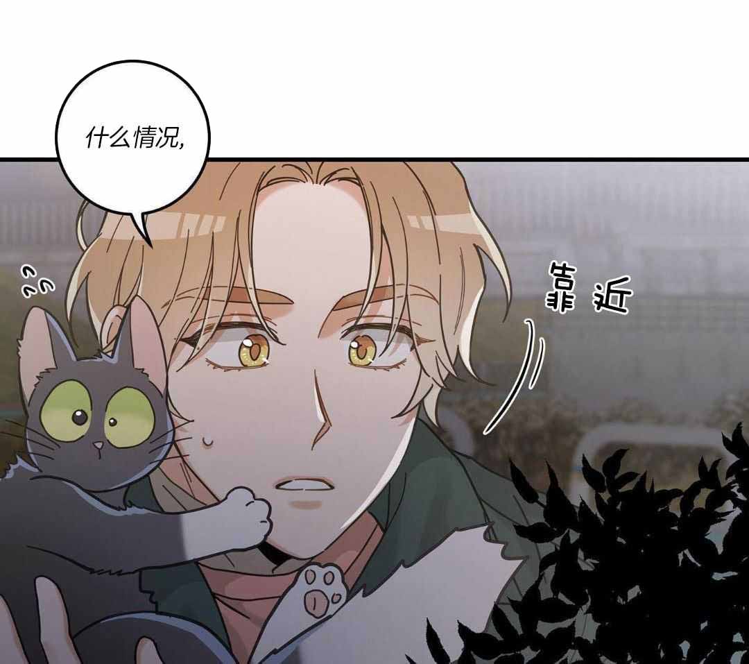 《我唯一的猫猫》漫画最新章节第55话免费下拉式在线观看章节第【10】张图片