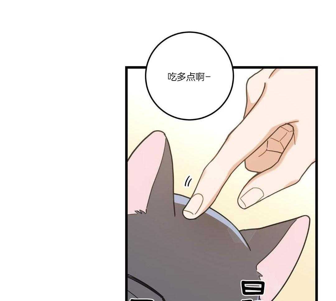 《我唯一的猫猫》漫画最新章节第35话免费下拉式在线观看章节第【23】张图片