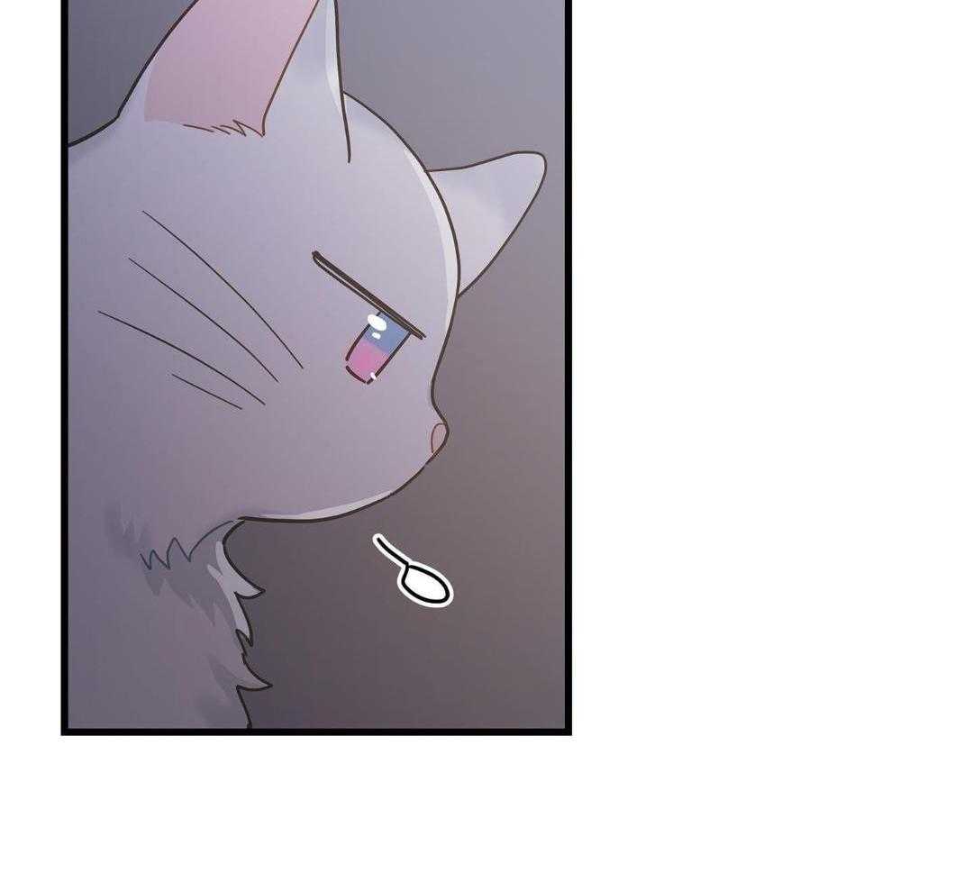 《我唯一的猫猫》漫画最新章节第42话免费下拉式在线观看章节第【8】张图片