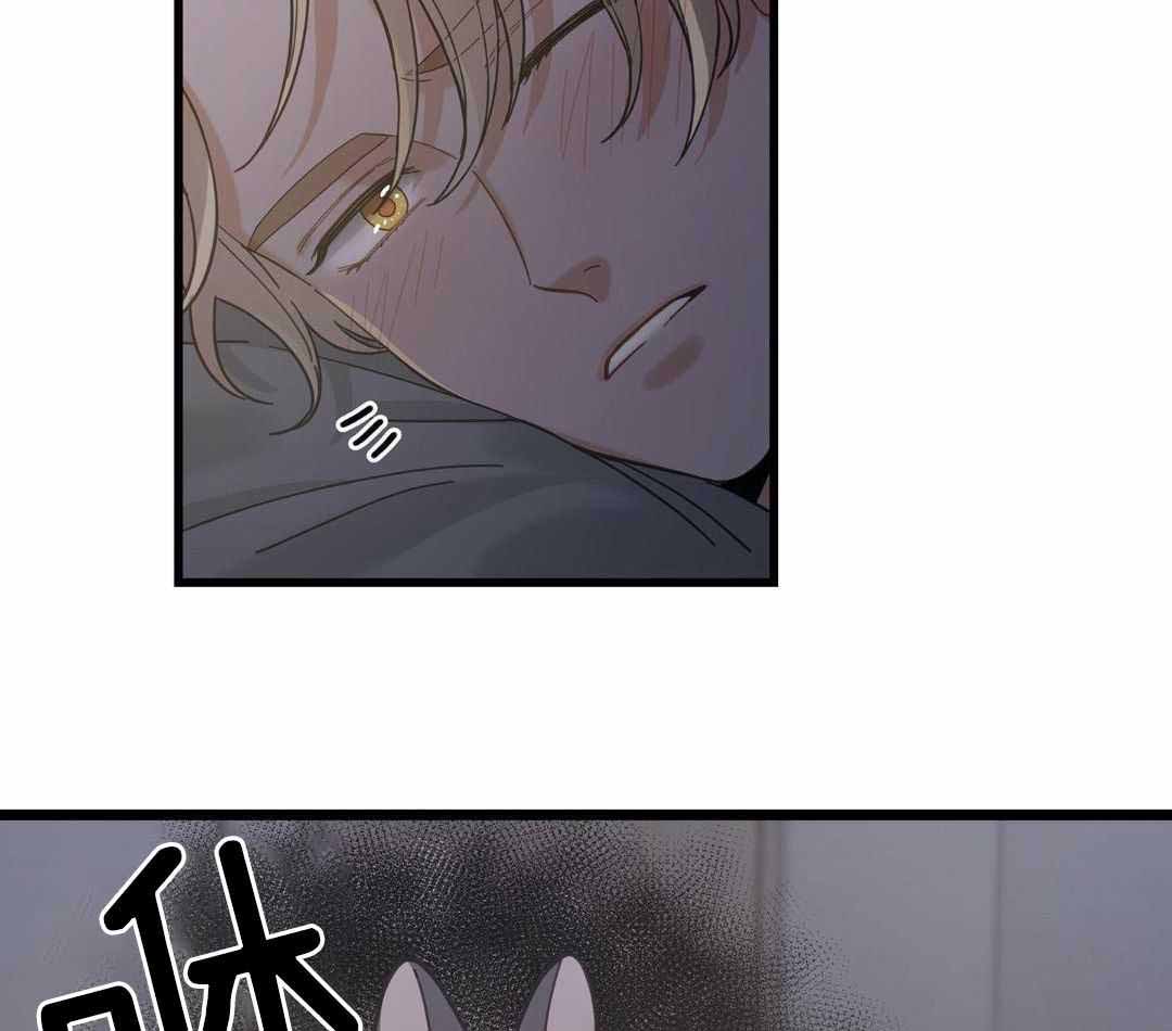 《我唯一的猫猫》漫画最新章节第41话免费下拉式在线观看章节第【25】张图片