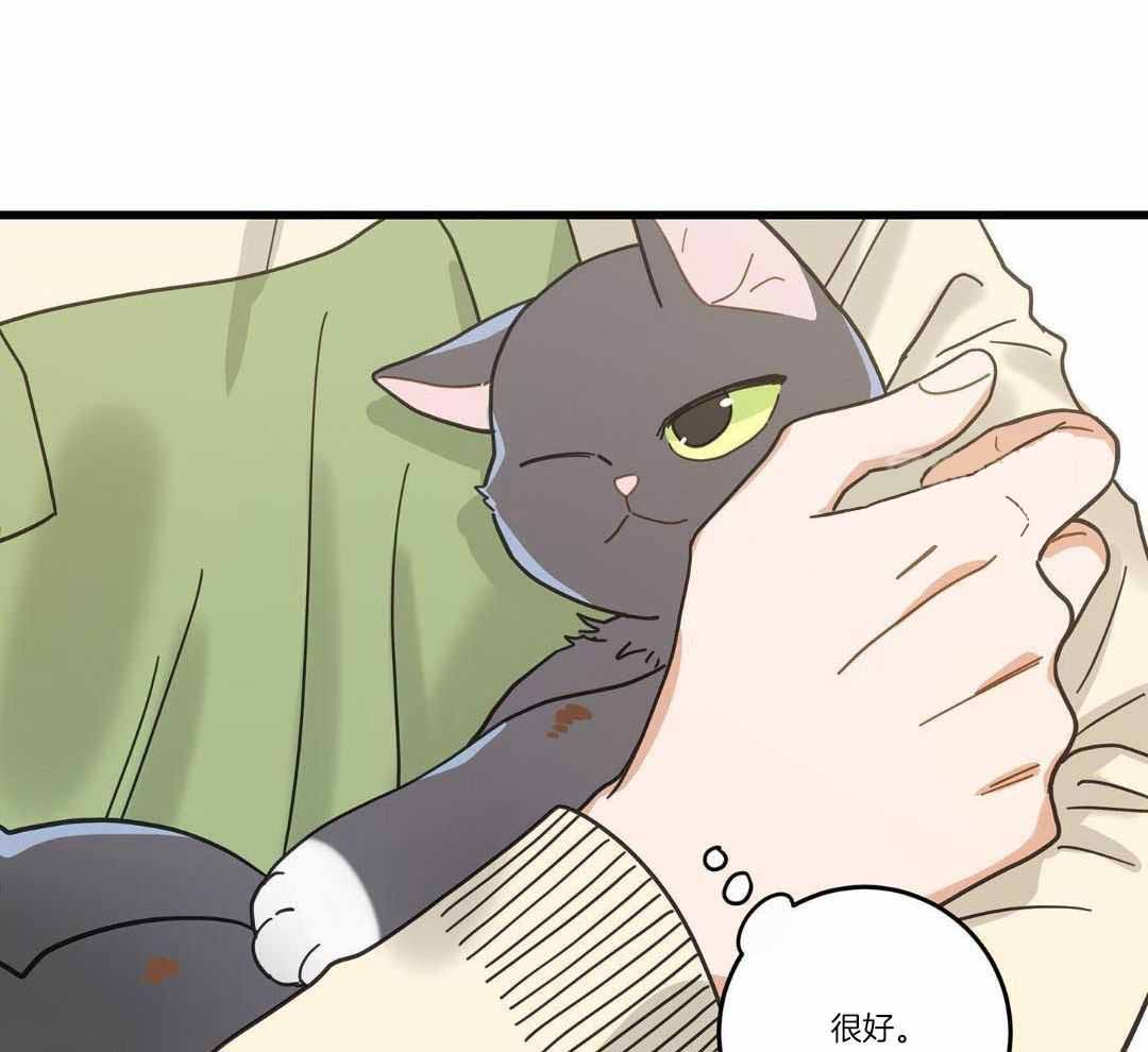 《我唯一的猫猫》漫画最新章节第34话免费下拉式在线观看章节第【28】张图片