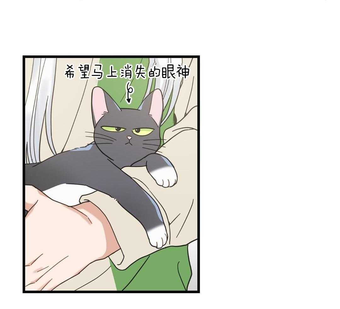 《我唯一的猫猫》漫画最新章节第43话免费下拉式在线观看章节第【19】张图片