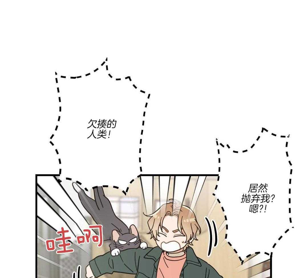 《我唯一的猫猫》漫画最新章节第54话免费下拉式在线观看章节第【32】张图片