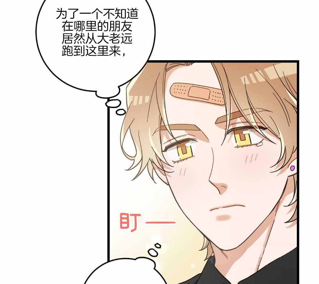 《我唯一的猫猫》漫画最新章节第40话免费下拉式在线观看章节第【9】张图片