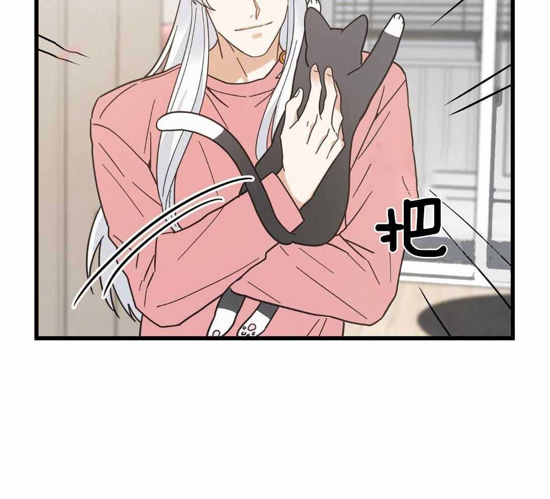 《我唯一的猫猫》漫画最新章节第39话免费下拉式在线观看章节第【39】张图片