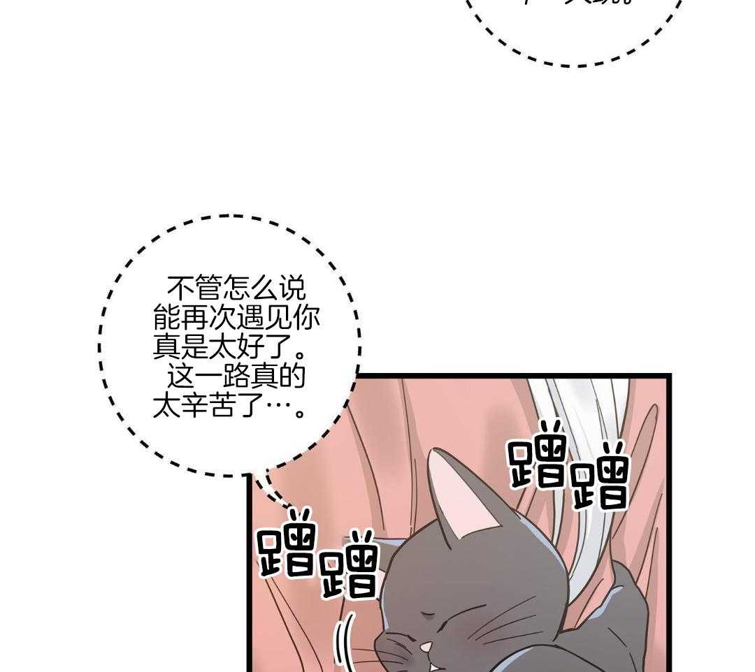 《我唯一的猫猫》漫画最新章节第40话免费下拉式在线观看章节第【15】张图片