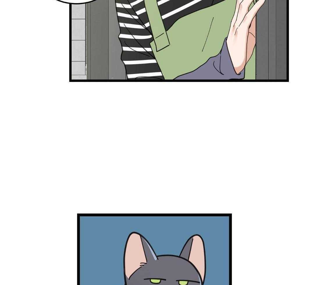 《我唯一的猫猫》漫画最新章节第58话免费下拉式在线观看章节第【5】张图片