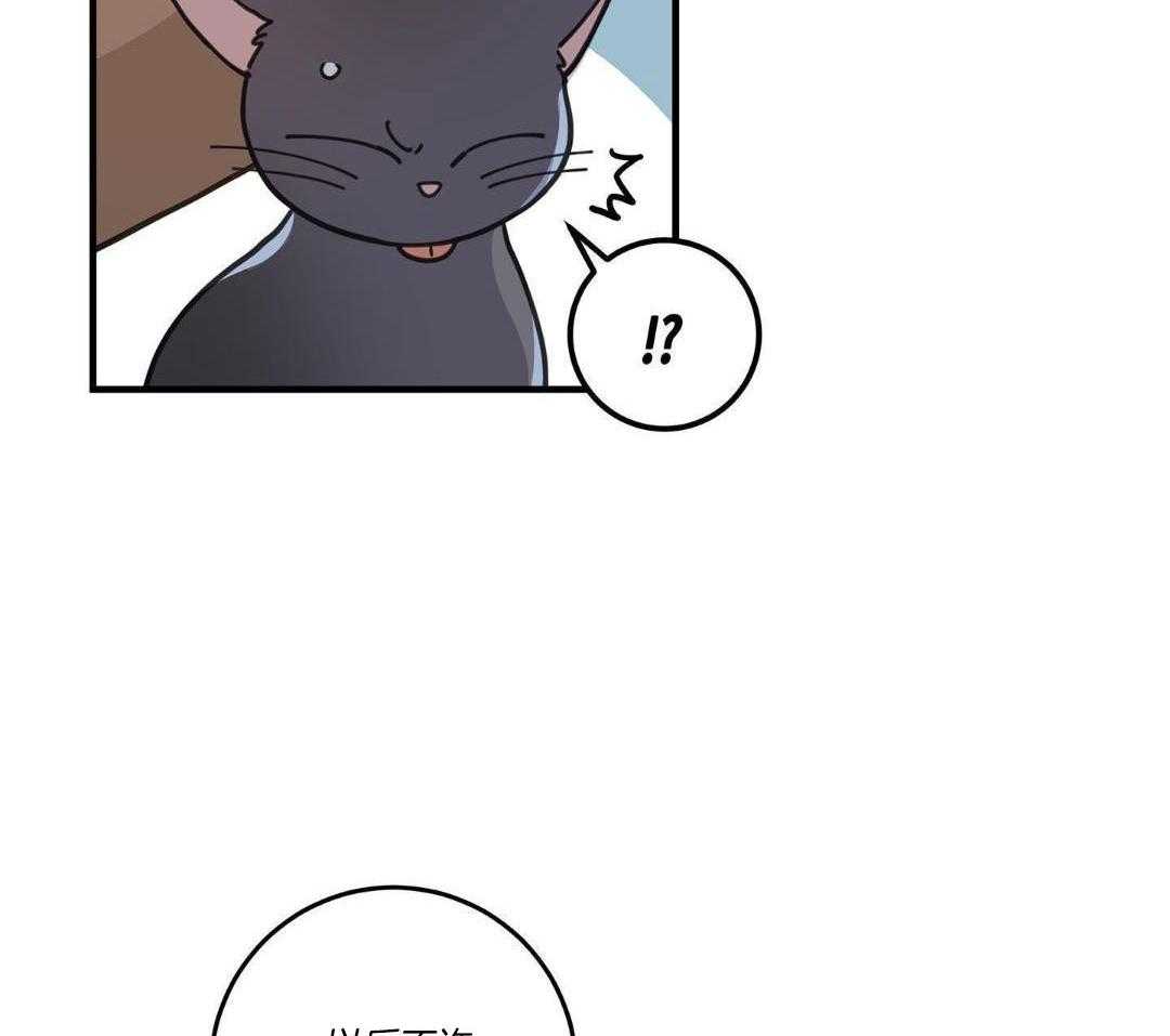 《我唯一的猫猫》漫画最新章节第55话免费下拉式在线观看章节第【38】张图片