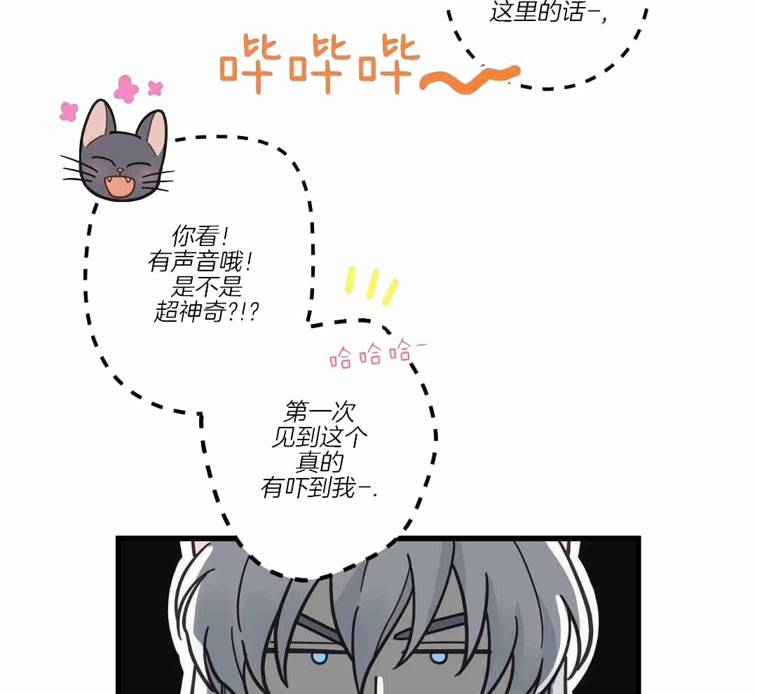 《我唯一的猫猫》漫画最新章节第48话免费下拉式在线观看章节第【36】张图片