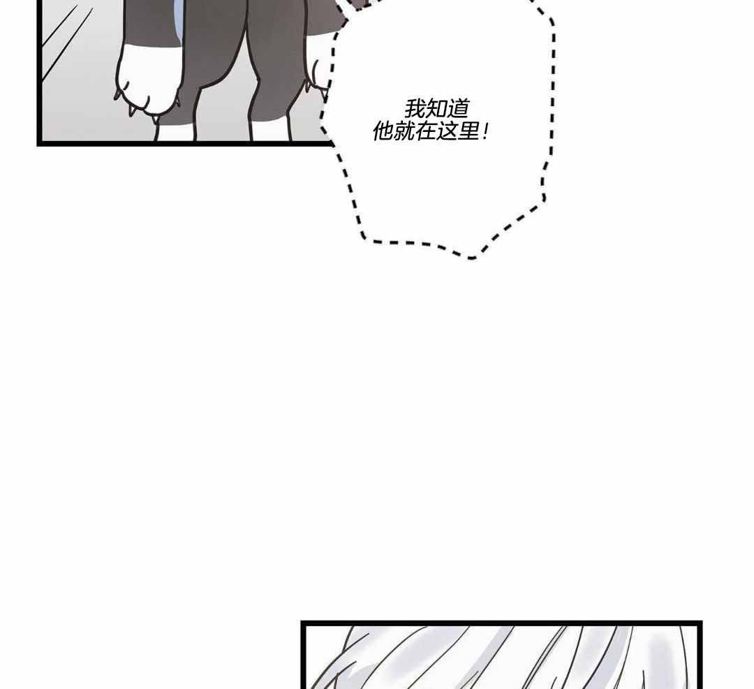 《我唯一的猫猫》漫画最新章节第39话免费下拉式在线观看章节第【20】张图片