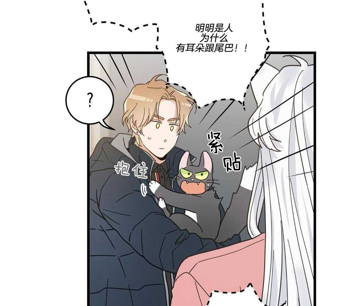 《我唯一的猫猫》漫画最新章节第39话免费下拉式在线观看章节第【30】张图片