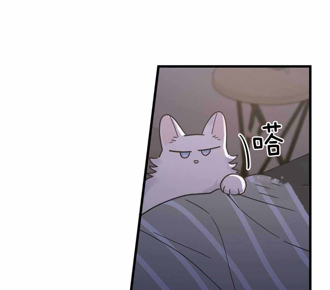 《我唯一的猫猫》漫画最新章节第41话免费下拉式在线观看章节第【30】张图片