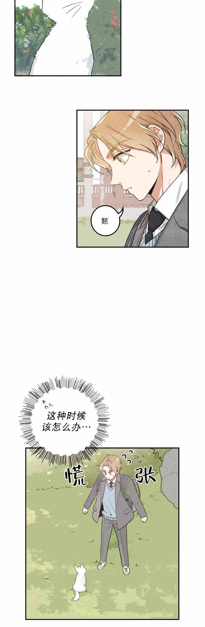 《我唯一的猫猫》漫画最新章节第19话免费下拉式在线观看章节第【8】张图片