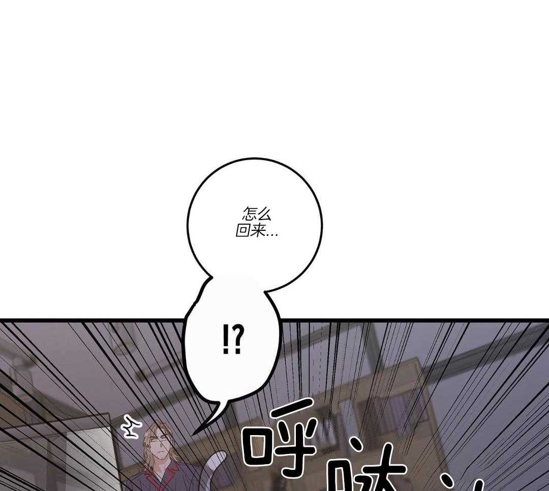 《我唯一的猫猫》漫画最新章节第36话免费下拉式在线观看章节第【37】张图片