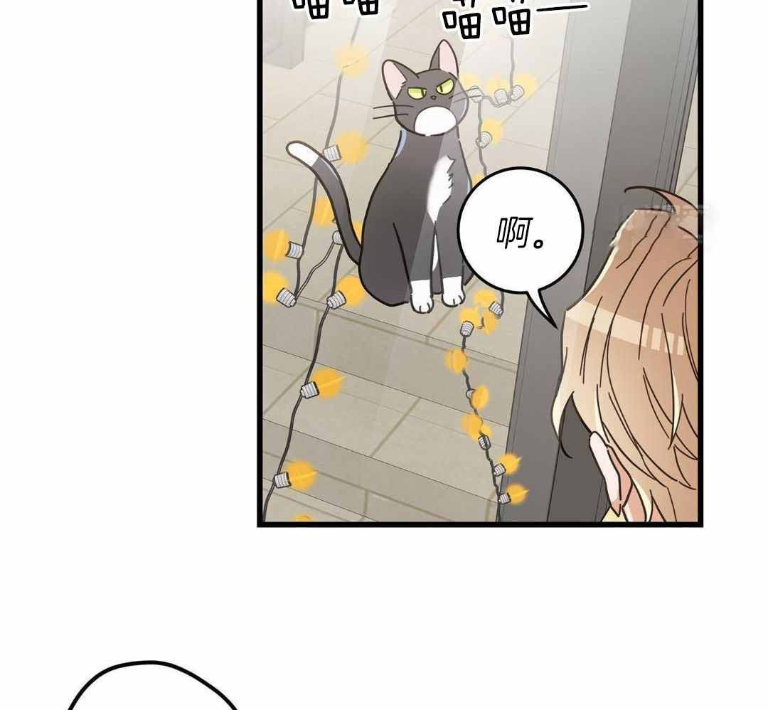 《我唯一的猫猫》漫画最新章节第47话免费下拉式在线观看章节第【3】张图片