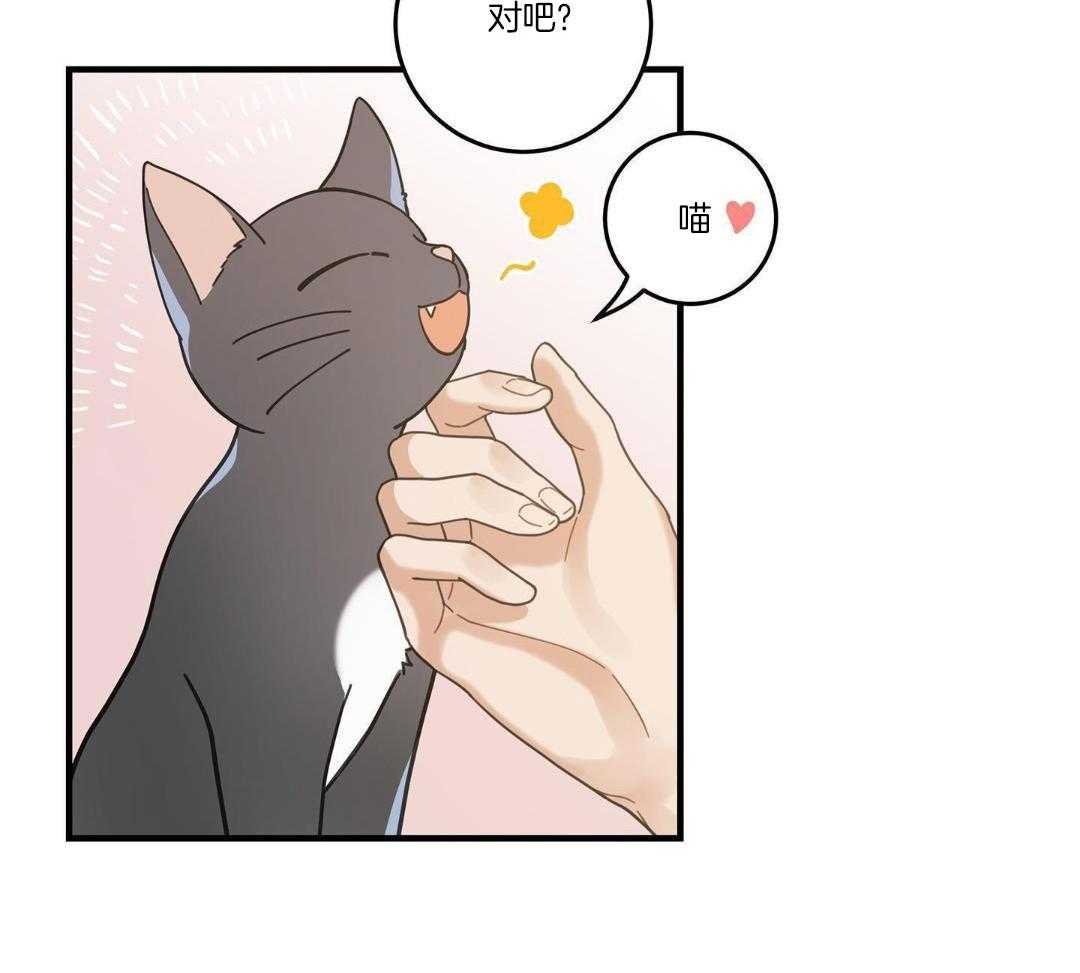 《我唯一的猫猫》漫画最新章节第54话免费下拉式在线观看章节第【38】张图片