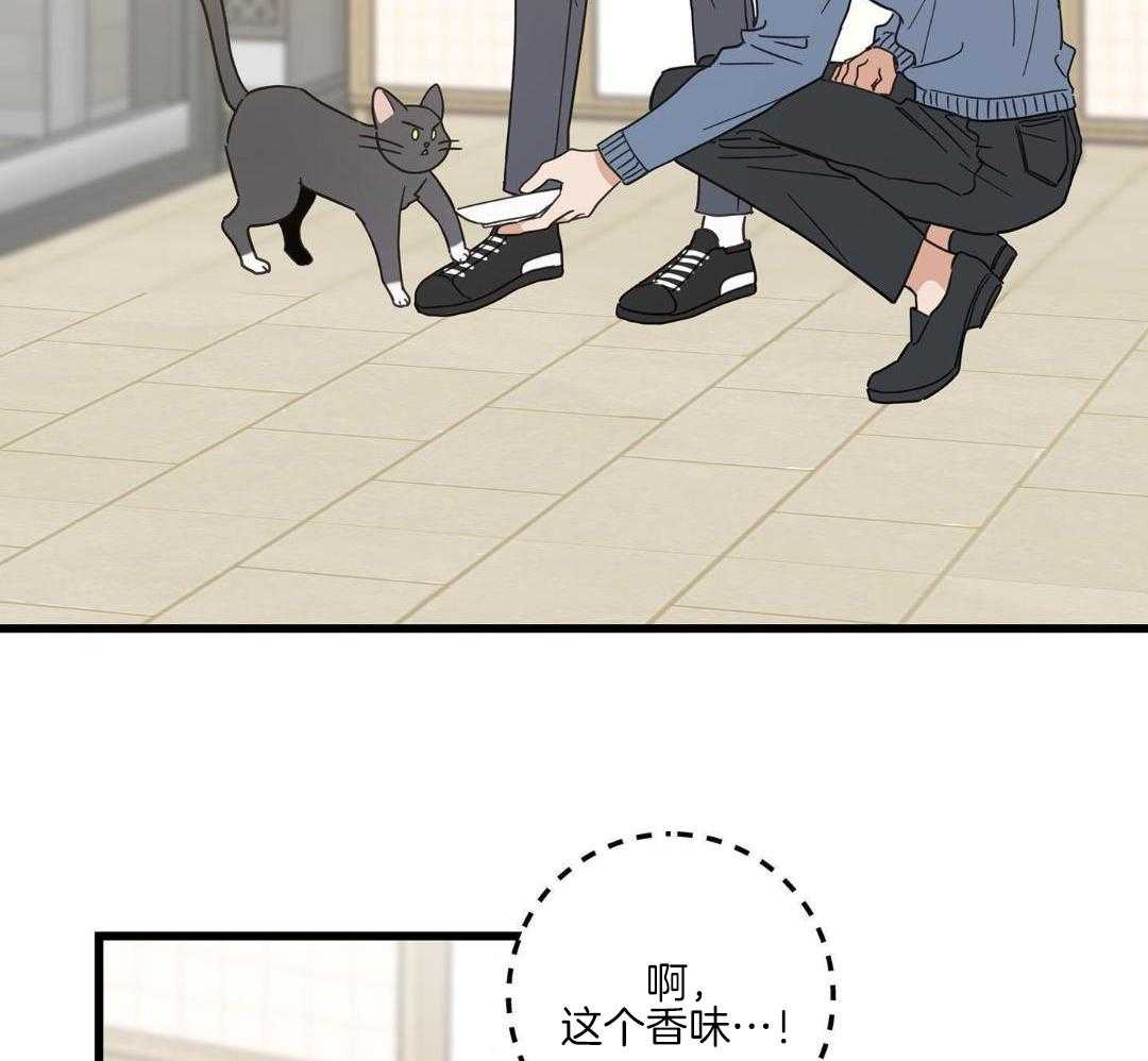 《我唯一的猫猫》漫画最新章节第47话免费下拉式在线观看章节第【12】张图片