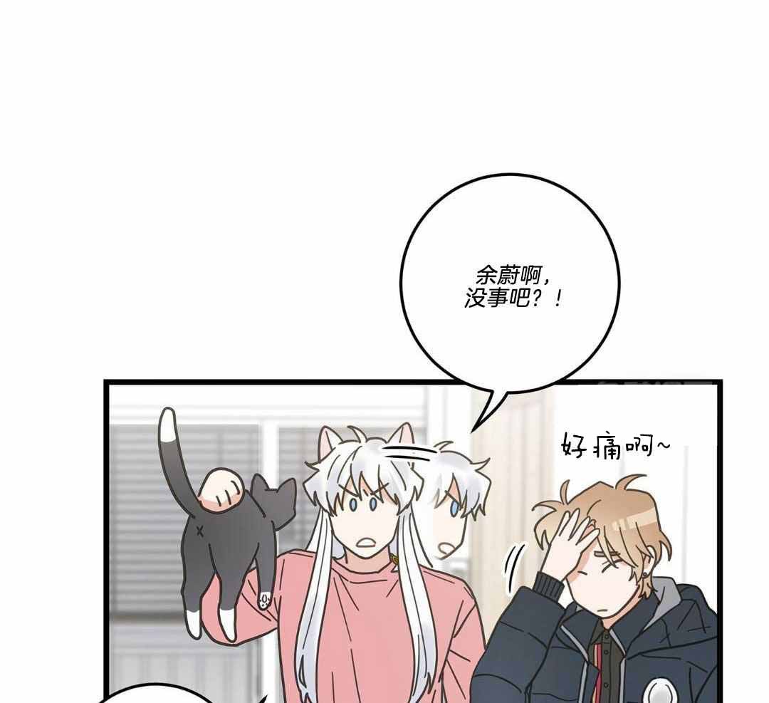 《我唯一的猫猫》漫画最新章节第39话免费下拉式在线观看章节第【17】张图片