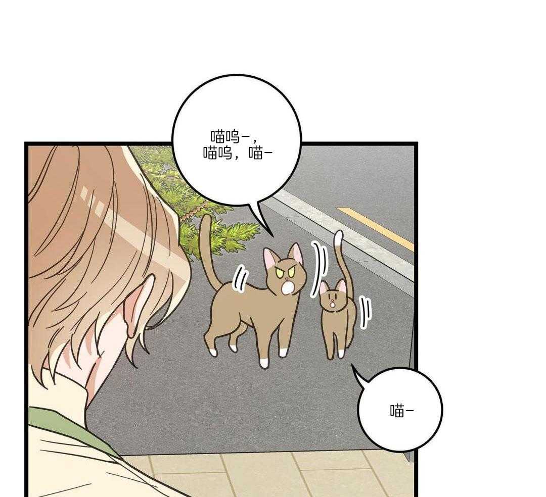 《我唯一的猫猫》漫画最新章节第34话免费下拉式在线观看章节第【12】张图片