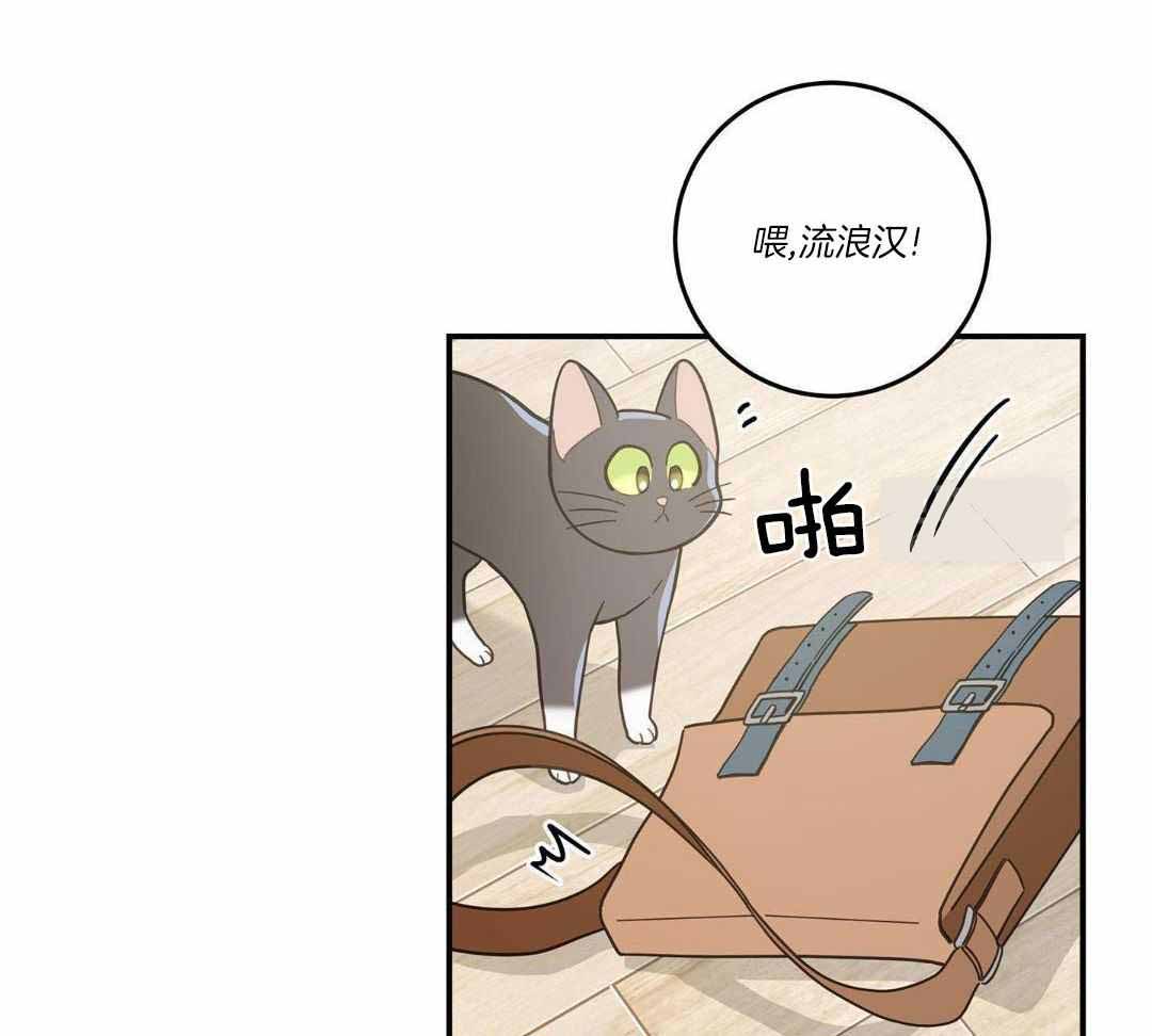 《我唯一的猫猫》漫画最新章节第47话免费下拉式在线观看章节第【67】张图片