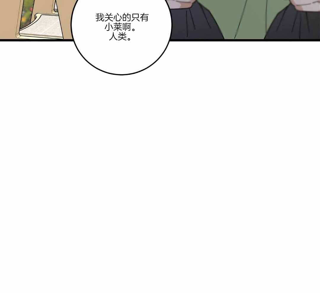 《我唯一的猫猫》漫画最新章节第37话免费下拉式在线观看章节第【43】张图片