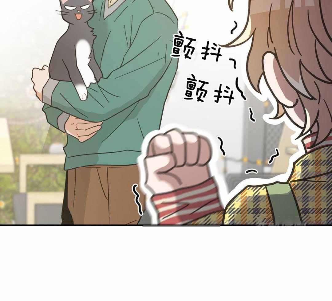 《我唯一的猫猫》漫画最新章节第50话免费下拉式在线观看章节第【26】张图片