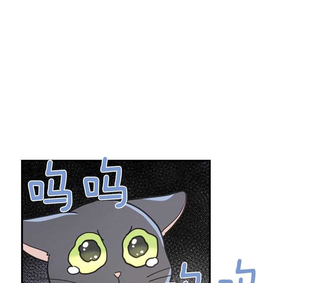 《我唯一的猫猫》漫画最新章节第55话免费下拉式在线观看章节第【40】张图片