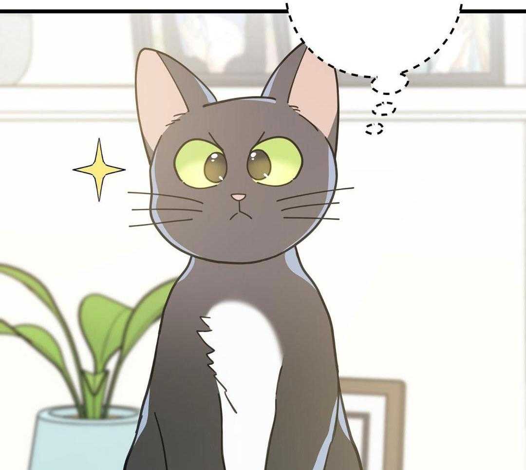 《我唯一的猫猫》漫画最新章节第58话免费下拉式在线观看章节第【40】张图片