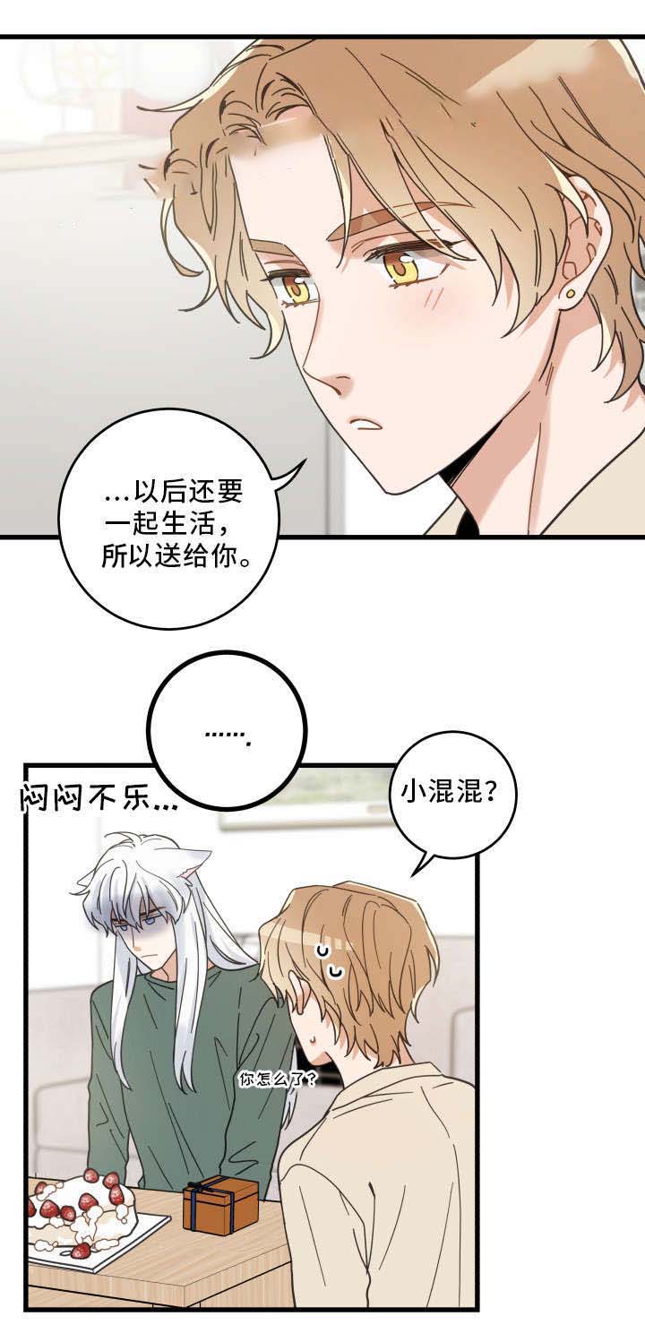 《我唯一的猫猫》漫画最新章节第29话免费下拉式在线观看章节第【8】张图片